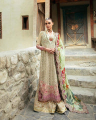 Embroidered Organza Suit