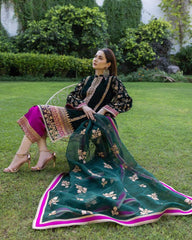 Zainab Chottani New Velvet Collection